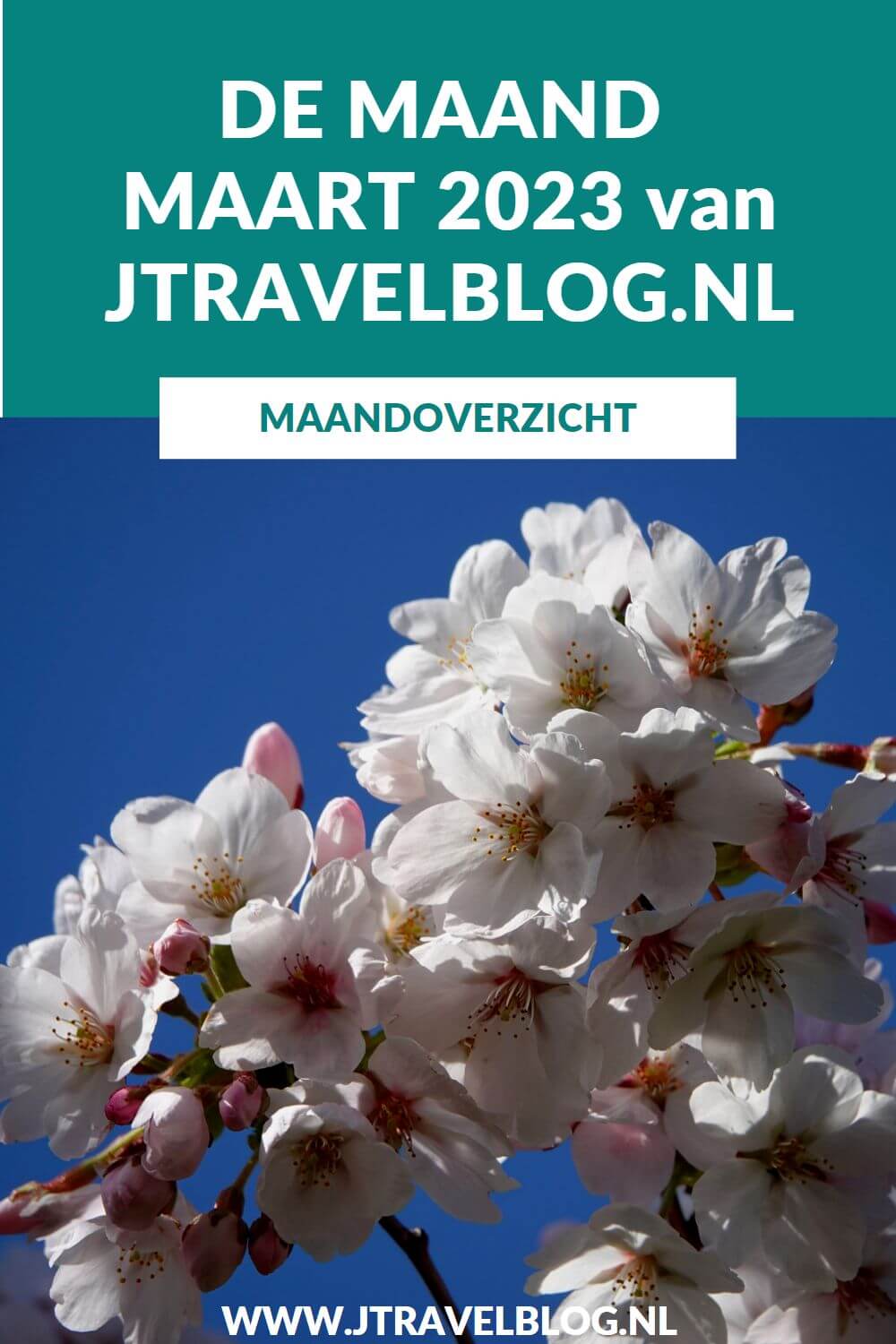 In maart 2023 maakte een wandeling van Wandelnetwerk Noord-Holland rond de buitenplaatsen in Heemskerk, liep ik etappe 21 en 22 van het Westerborkpad van Lichtmis via Staphorst naar Meppel, ik bezocht Museum JAN en het Kersenbloesempark in Amstelveen. Meer hier over lees je in dit maandoverzicht. #maandoverzicht #maart2023 #heemskerk #westerborkpad #museumjan #amstelveen #kersenbloesempark #wandelen #jtravel #jtravelblog