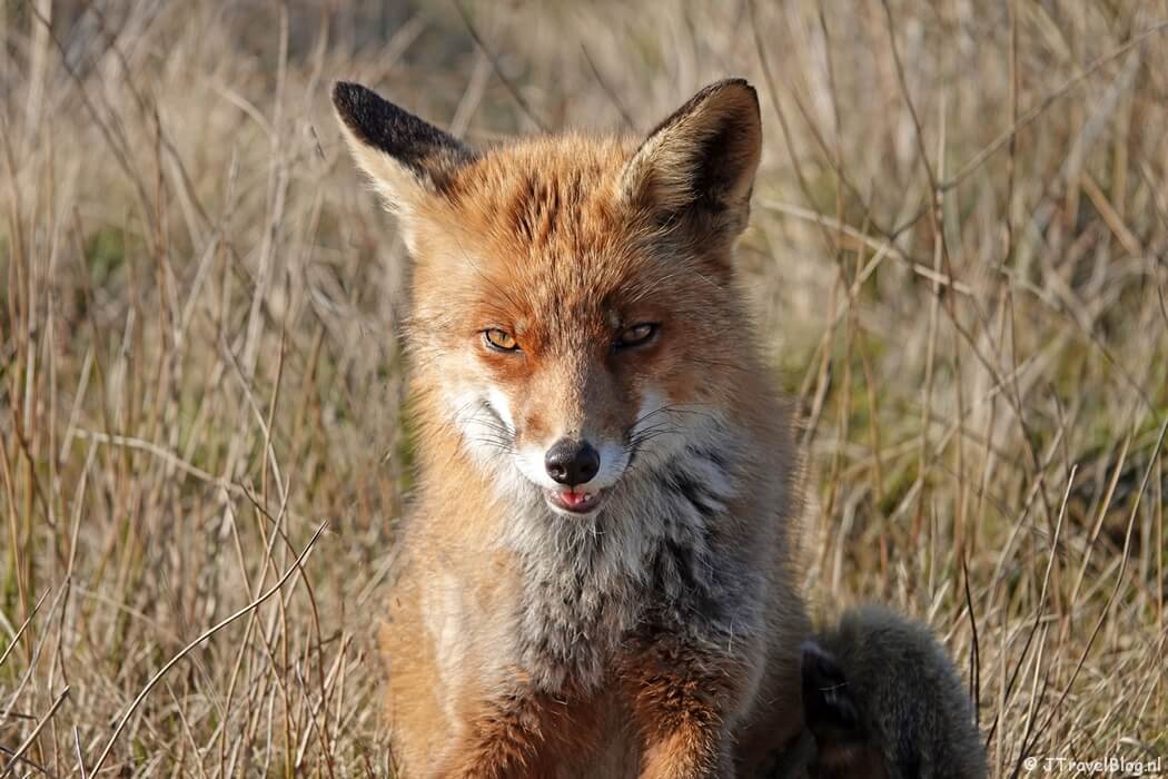 Originele foto voor de Review : Persoonlijke sleutelhanger met foto van KeyMemories.nl