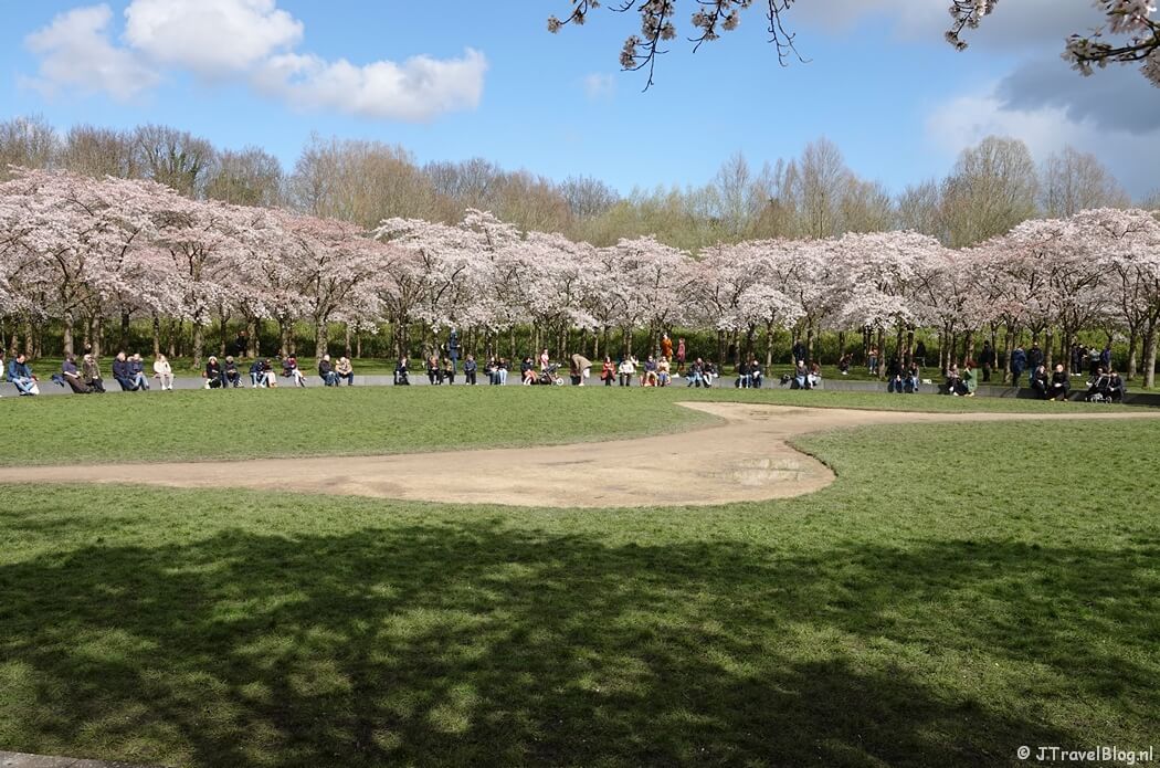 Bloesempark in het Amsterdamse Bos
