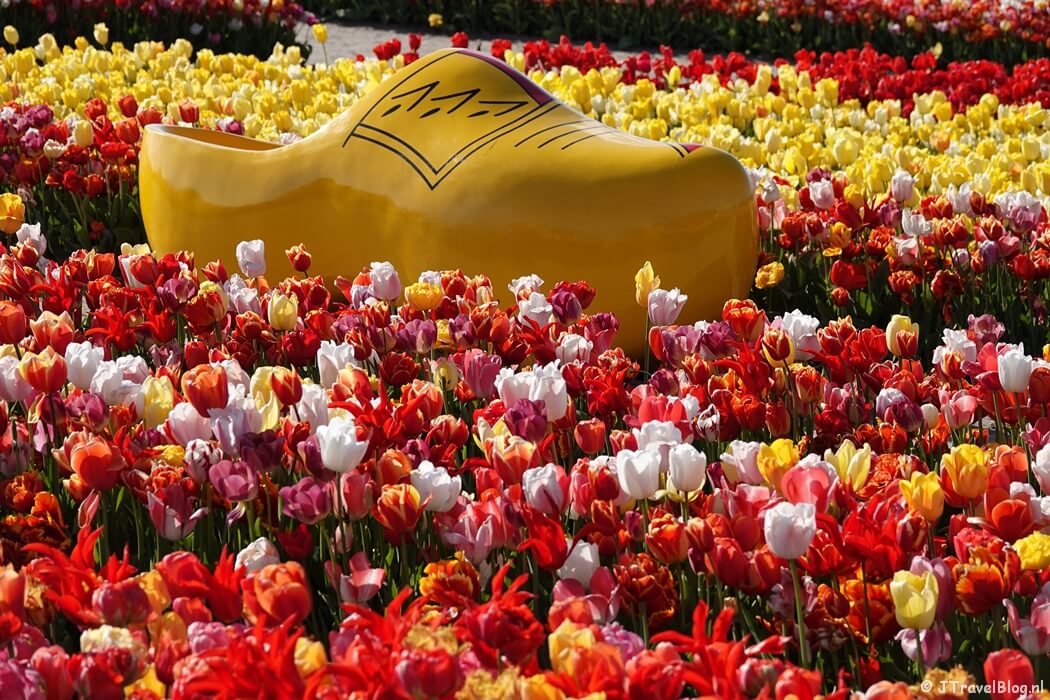 The Tulip Barn in Hillegom