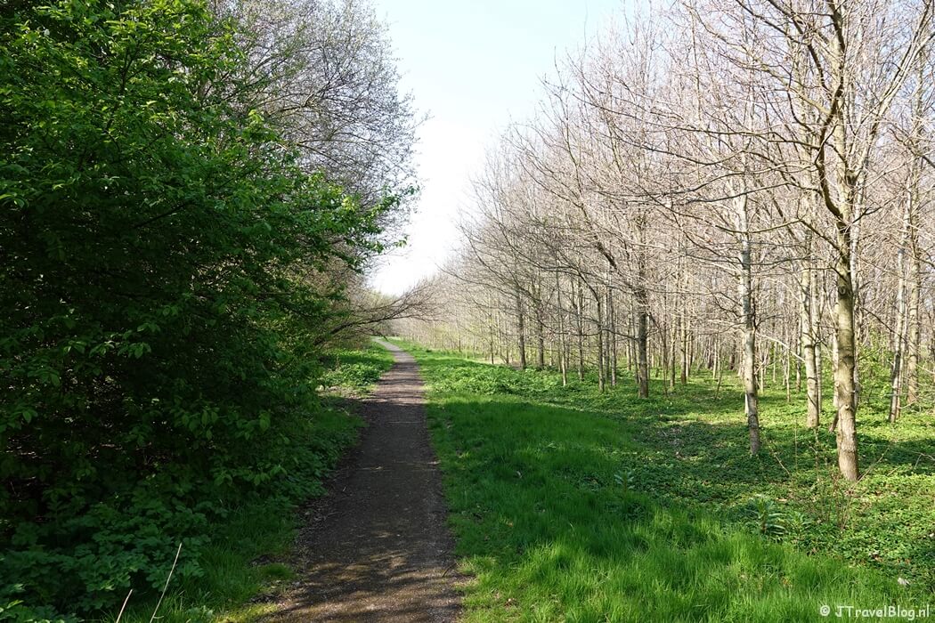 Natuurgebied Venneperhout tijdens mijn wandeling van de Olmenhorstroute van Wandelnetwerk Noord-Holland