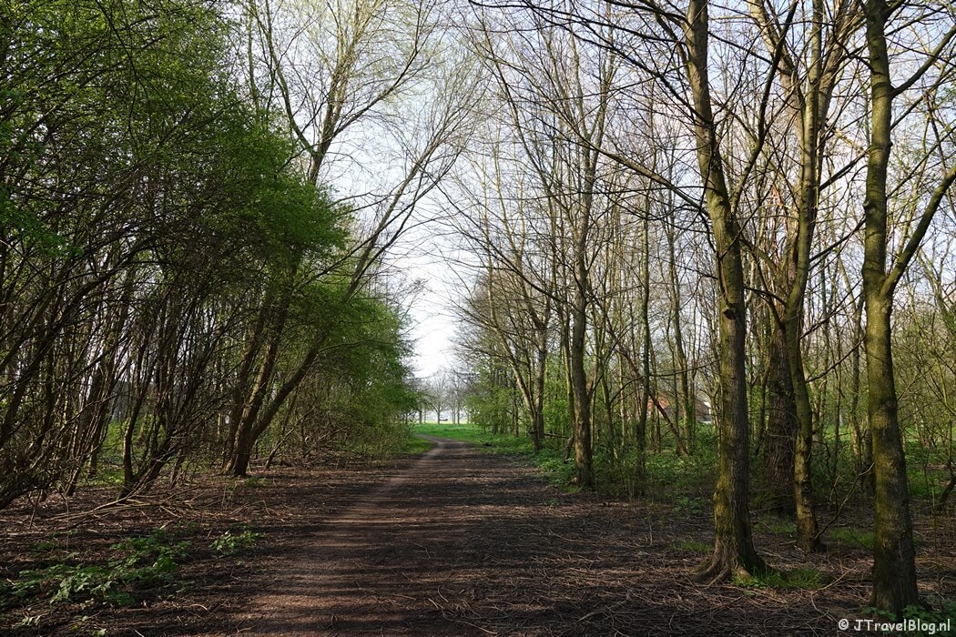 Natuurgebied Venneperhout tijdens mijn wandeling van de Olmenhorstroute van Wandelnetwerk Noord-Holland