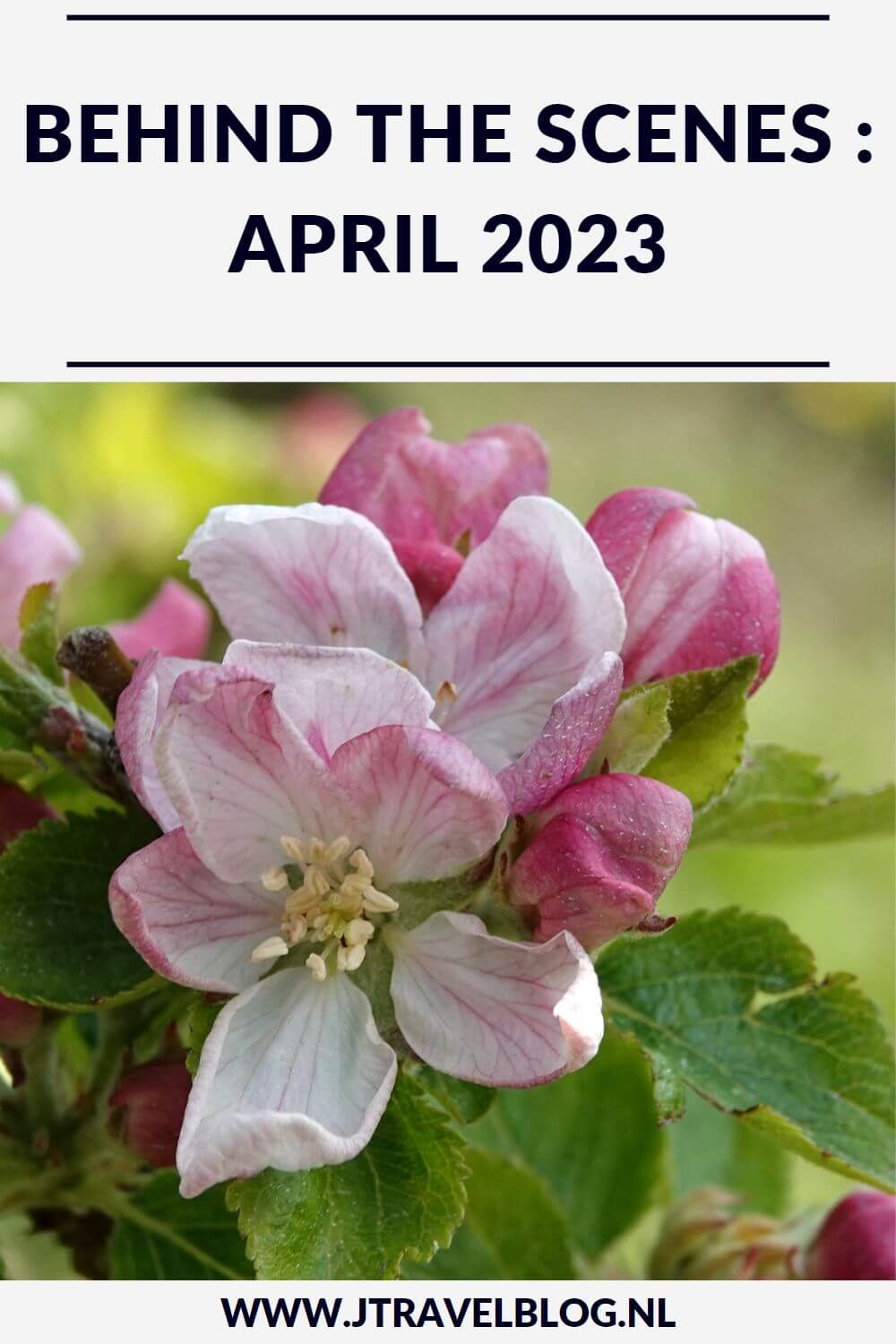 In april 2023 liep ik de Olmenhorstroute, een wandeling van Wandelnetwerk Noord-Holland, liep ik etappe 23 van het Westerborkpad van Station Meppel naar Koekange en maakte ik twee wandelingen in de Amsterdamse Waterleidingduinen. Meer hier over lees je in dit maandoverzicht. #maandoverzicht #april2023 #olmenhorstroute #westerborkpad #amsterdamsewaterleidingduinen #wandelen #jtravel #jtravelblog