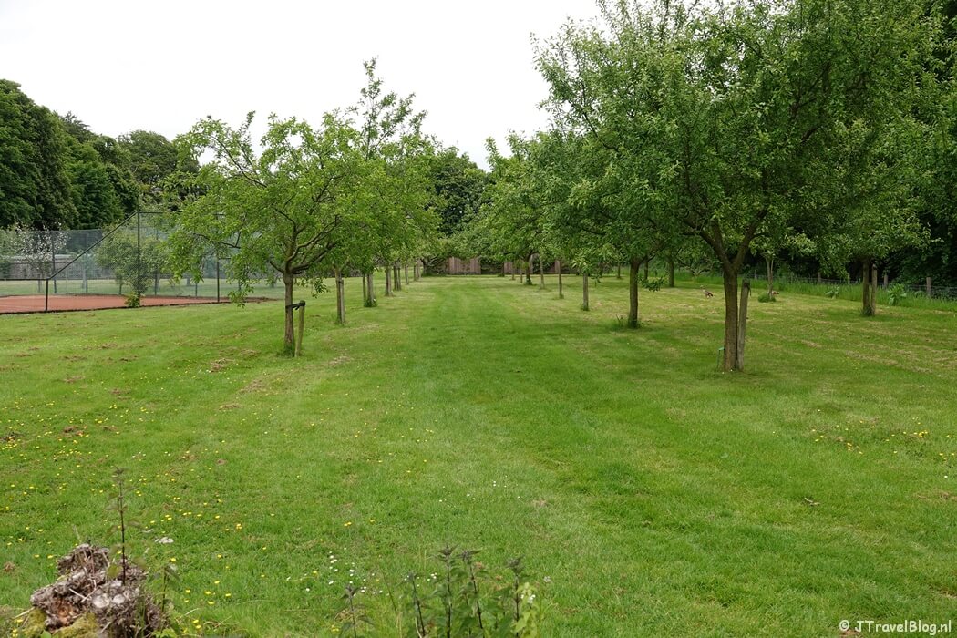 De boomgaard tijdens de rondleiding over Buitenplaats Huis te Manpad in Heemstede