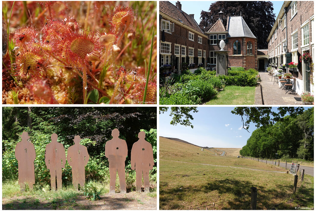 Juni 2023: zonnedauw in de Amsterdamse Waterleidingduinen, een hofje tijdens de hofjeswandeling in Leiden en etappe 25+26 van het Westerborkpad