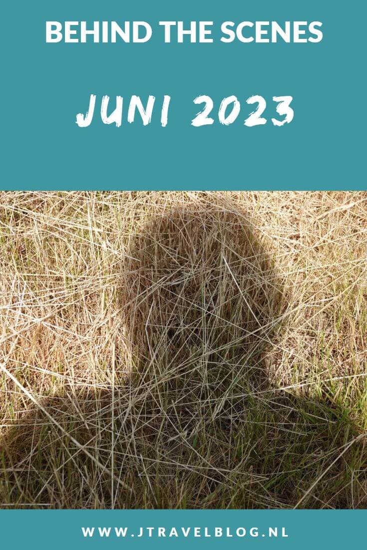 In juni 2023 maakte ik een wandeling in de Amsterdamse Waterleidingduinen en langs de 35 hofjes in Leiden en ik liep etappe 25+26 van het Westerborkpad van Station Hoogeveen naar Wijster. Meer hier over lees je in dit maandoverzicht. #maandoverzicht #juni2023 #leiden #hofjesinleiden #westerborkpad #amsterdamsewaterleidingduinen #wandelen #jtravel #jtravelblog