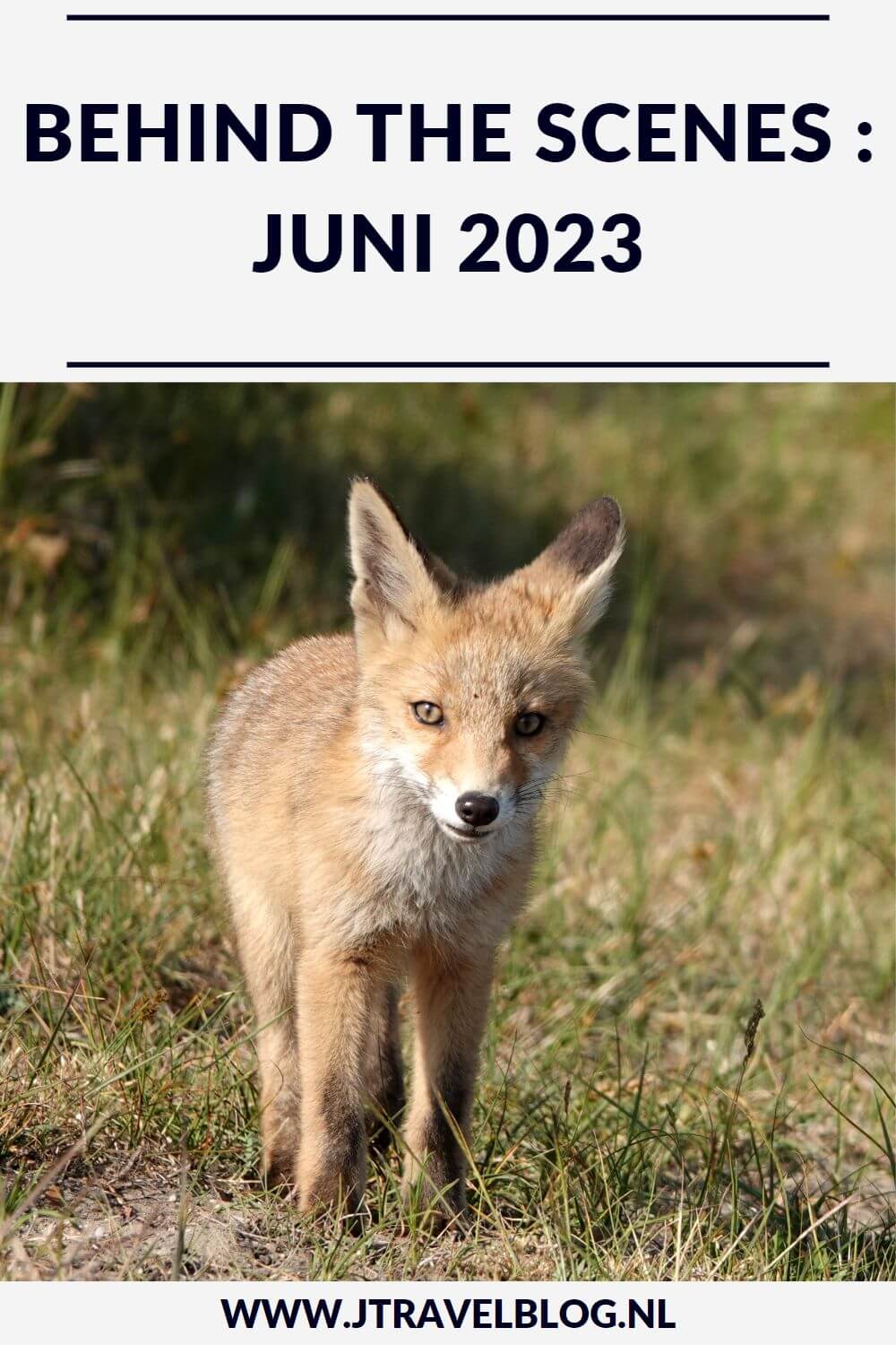 In juni 2023 maakte ik een wandeling in de Amsterdamse Waterleidingduinen en langs de 35 hofjes in Leiden en ik liep etappe 25+26 van het Westerborkpad van Station Hoogeveen naar Wijster. Meer hier over lees je in dit maandoverzicht. #maandoverzicht #juni2023 #leiden #hofjesinleiden #westerborkpad #amsterdamsewaterleidingduinen #wandelen #jtravel #jtravelblog