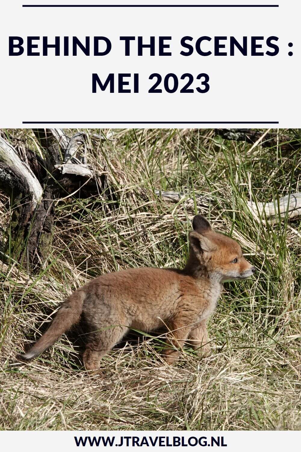 In mei 2023 maakte ik een wandeling in de Amsterdamse Waterleidingduinen en over Buitenplaats Elswout in Overveen, ik bezocht de Japanse Tuin in Den Haag, liep etappe 24 van het Westerborkpad van Koekange naar Station Hoogeveen en nam deel aan een rondleiding over Buitenplaats Huis te Manpad in Heemstede. Meer hier over lees je in dit maandoverzicht. #maandoverzicht #mei2023 #buitenplaatselswout #huistemanpad #japansetuin #westerborkpad #amsterdamsewaterleidingduinen #wandelen #jtravel #jtravelblog