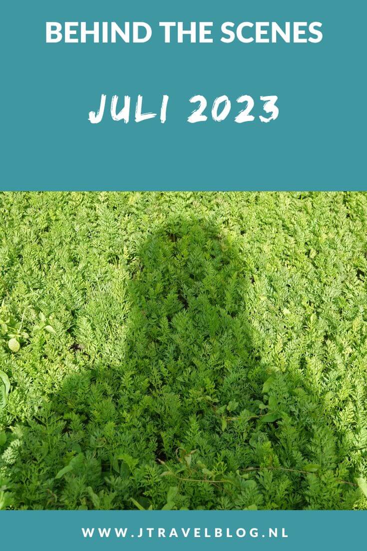In juli 2023 maakte ik een fietstocht langs 26 reuzenbollen in Hillegom en Lisse in de Bollenstreek, ik liep etappe 27+28 van het Westerborkpad van Wijster naar Hooghalen en tijdens mijn verblijf in Groningen bezocht ik het Visserijmuseum Zoutkamp in Zoutkamp. Meer hier over lees je in dit maandoverzicht. #maandoverzicht #juli2023 #reuzenbollen #bollenstreek #westerborkpad #visserijmuseumzoutkamp #wandelen #jtravel #jtravelblog
