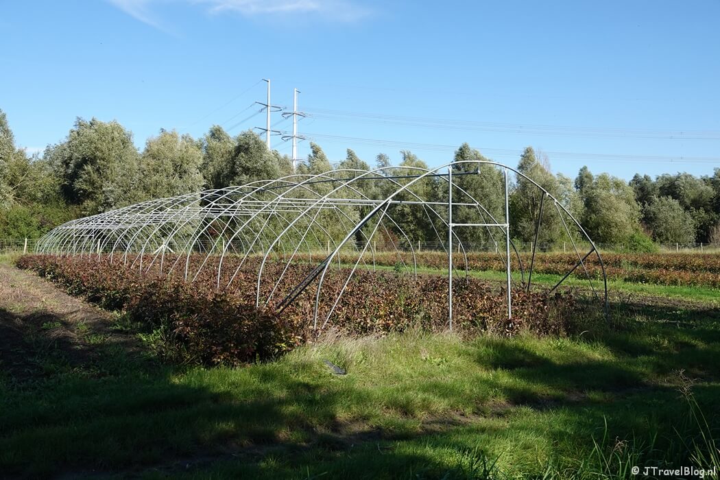 Boerenland tijdens mijn wandeling van de Pioniersroute van Wandelnetwerk Noord-Holland