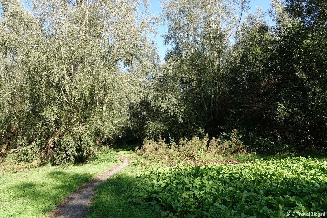 Een bospad tijdens mijn wandeling van de Pioniersroute van Wandelnetwerk Noord-Holland