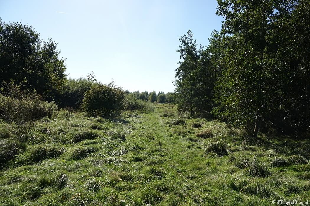 Een graspad tijdens mijn wandeling van de Pioniersroute van Wandelnetwerk Noord-Holland