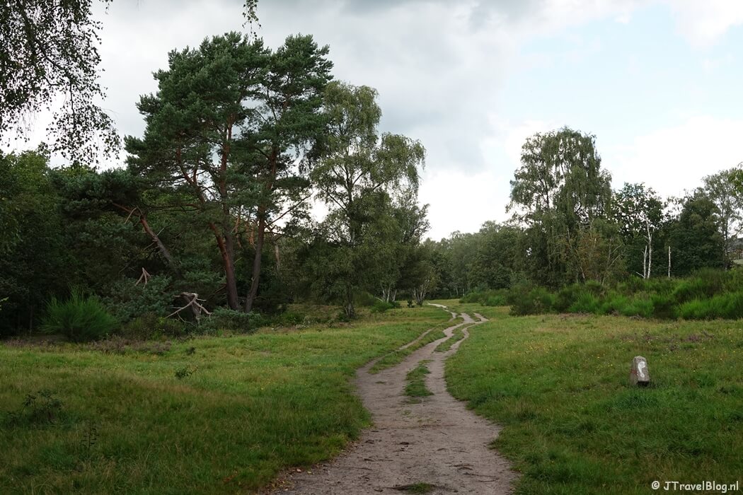 Een wandelpad tijdens de 2e etappe van het Voetstappenpad