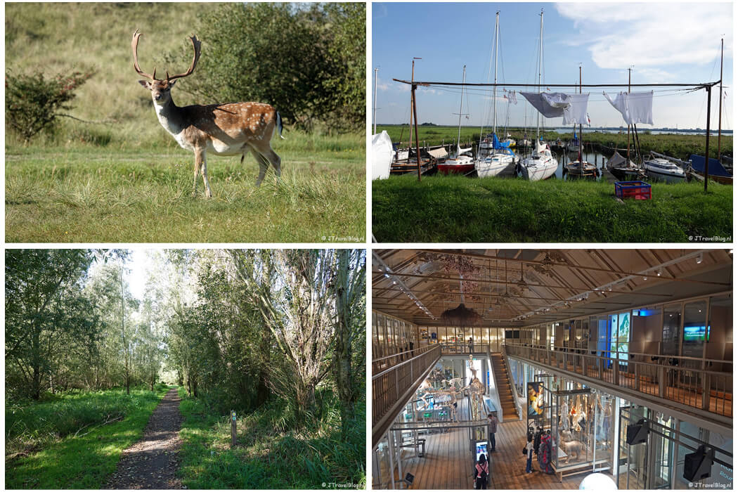 September 2023: Wandelen in de Amsterdamse Waterleidingduinen, Wandeling tussen Broek in Waterland en Amsterdam, Pioniersroute tussen Zwaanshoek en Hoofddorp, Groote Museum in Amsterdam