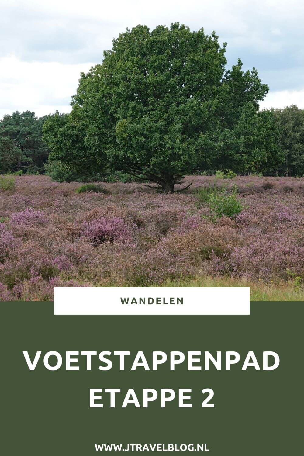 Ik liep etappe 2 van het Voetstappenpad, een wandelroute over de heidevelden en door de bossen aan de westkant van Hilversum. Voetstappenpad is een lange afstandswandeling van 25 kilometer rondom Hilversum. Ik loop de route in twee delen. Meer over etappe 2 lees je in deze blog. #voetstappenpad #hilversum #heide #bos #wandelen #jtravelblog #jtravel