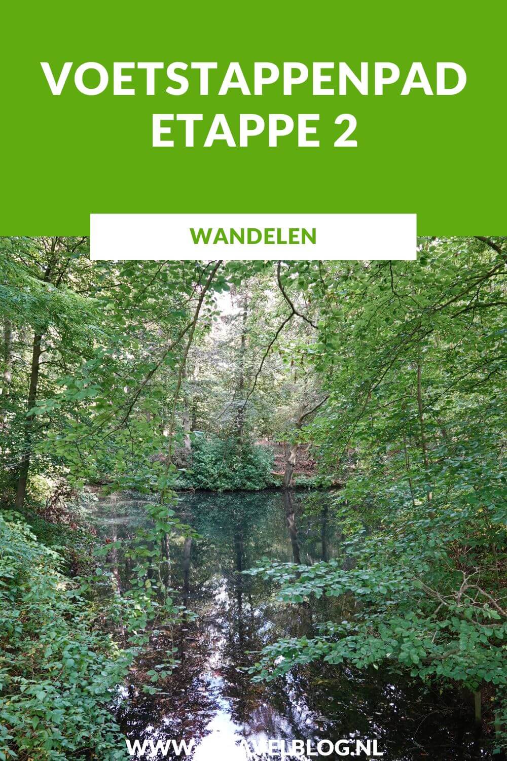 Ik liep etappe 2 van het Voetstappenpad, een wandelroute over de heidevelden en door de bossen aan de westkant van Hilversum. Voetstappenpad is een lange afstandswandeling van 25 kilometer rondom Hilversum. Ik loop de route in twee delen. Meer over etappe 2 lees je in deze blog. #voetstappenpad #hilversum #heide #bos #wandelen #jtravelblog #jtravel