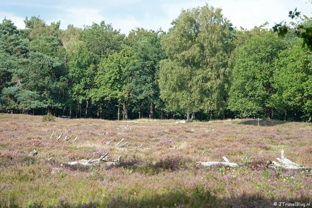 Zanderij Crailoo tijdens de 2e etappe van het Voetstappenpad