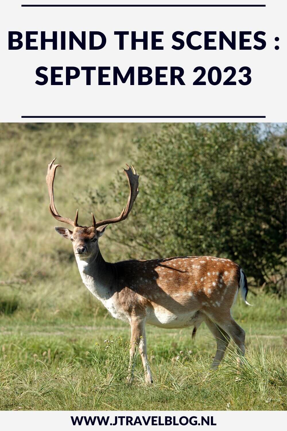 In september 2023 maakte ik een wandeling in de Amsterdamse Waterleidingduinen, ik wandelde tussen Broek in Waterland en Amsterdam, ik liep de Pioniersroute en bezocht het Groote Museum, het Joods Historisch Museum en het Nationaal Holocaust Namenmonument in Amsterdam. Meer hier over lees je in dit maandoverzicht. #maandoverzicht #september2023 #amsterdamsewaterleidingduinen #pioniersroute #broekinwaterland #amsterdam #wandelen #jtravelblog #jtravel