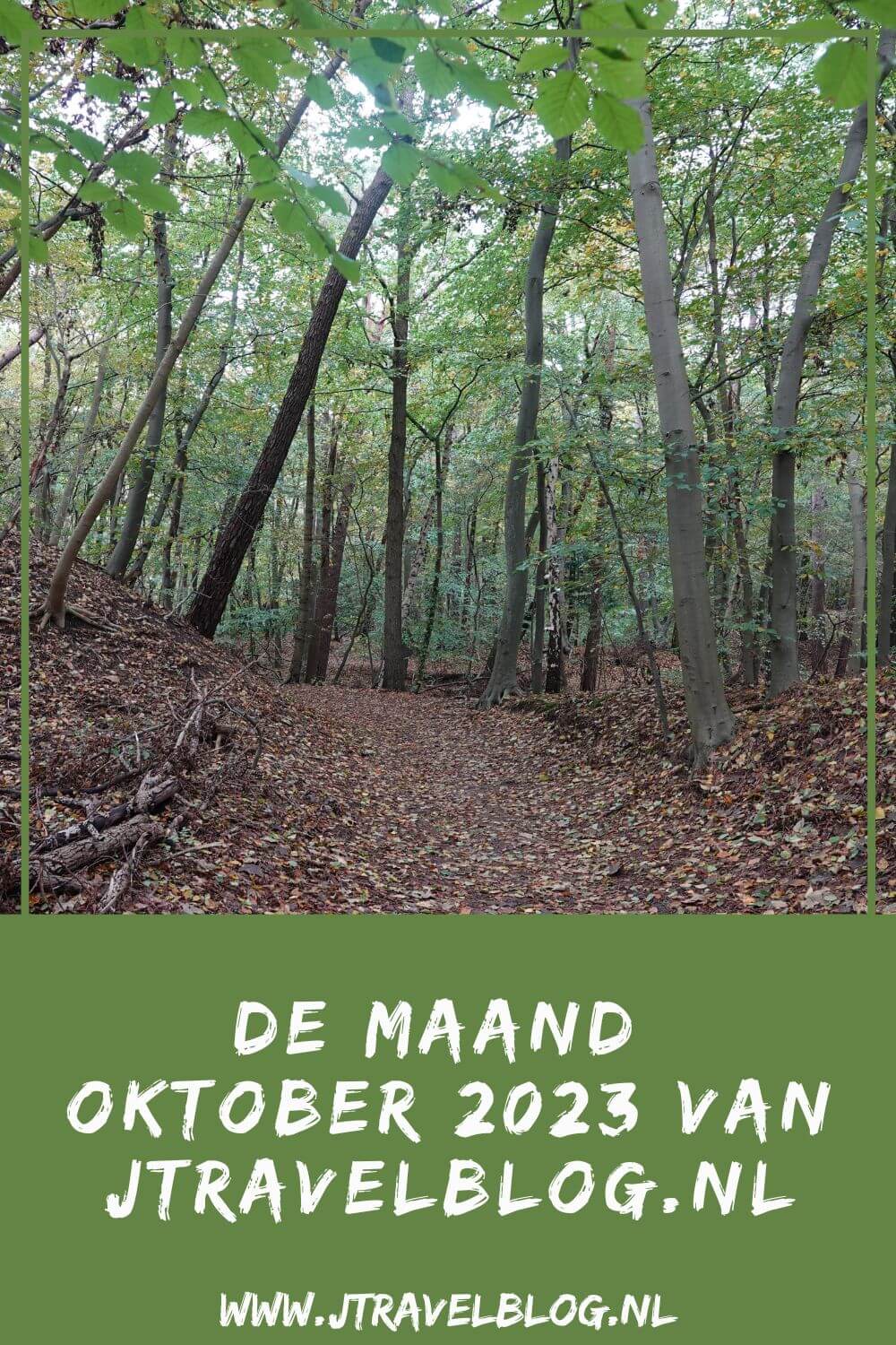 In oktober 2023 liep ik de Trage Tocht Driebergen, maakte ik een wandeling in de Amsterdamse Waterleidingduinen en ik maakte twee wandelingen in Nationaal Park Zuid-Kennemerland. Meer hier over lees je in dit maandoverzicht. #maandoverzicht #oktober2023 #amsterdamsewaterleidingduinen #tragetochtdriebergen #nationaalparkzuidkennemerland #wandelen #jtravelblog #jtravel