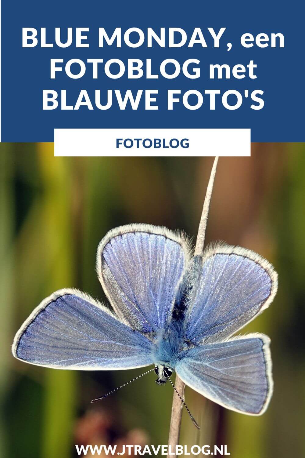 Deze fotoblog met blauwe foto's heb ik vanwege Blue Monday gemaakt. Ik heb een aantal van mijn blauwe foto’s voor je op een rijtje gezet. Kijk je mee? #blauw #fotoblog #bluemonday #fotografie #jtravelblog #jtravel