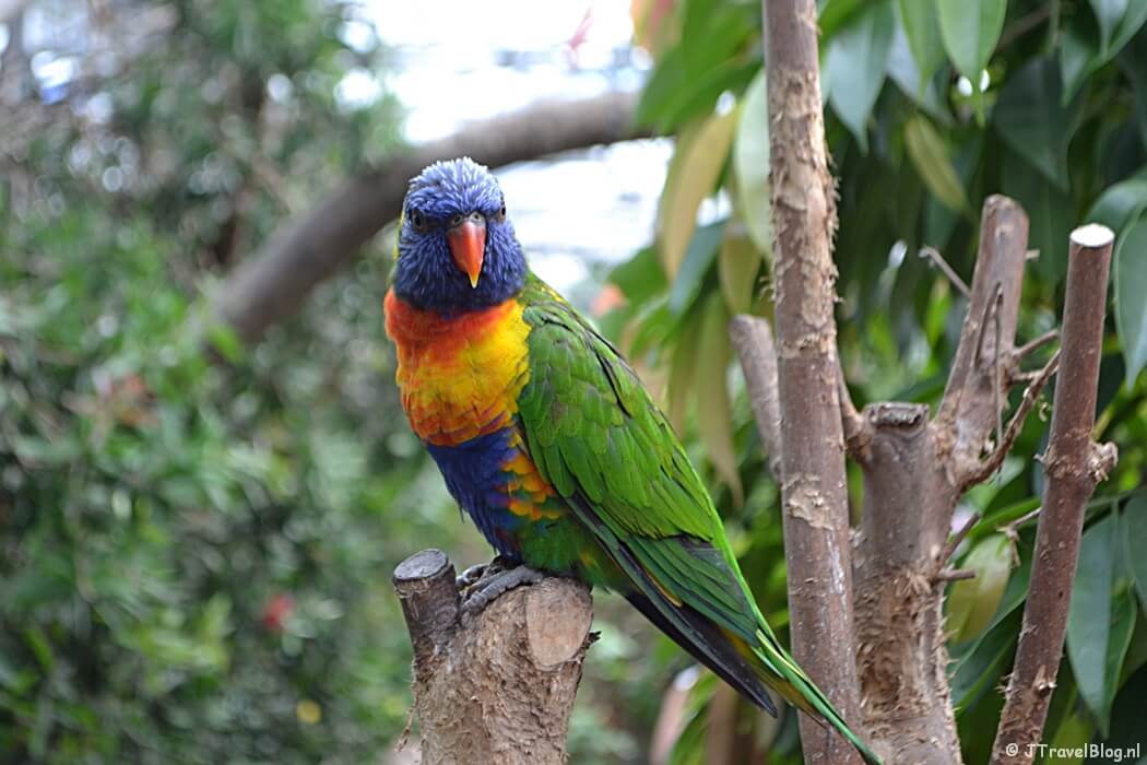 Fotoblog met blauwe foto's: Texel Zoo op Texel