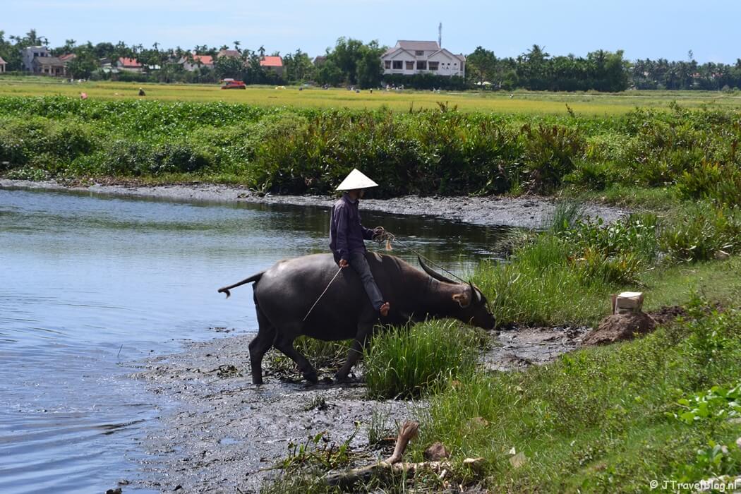 Fietsen in de omgeving van Hoi An/Vietnam
