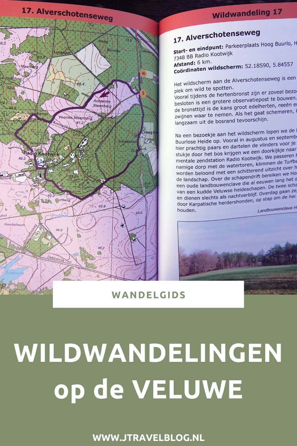 De wandelgids ‘Wildwandelingen op de Veluwe’ is een wandelgids met 30 wandelingen langs wildobservatieplaatsen op de Veluwe. De wandelingen hebben een lengte tussen de 2 en 10 kilometer. Wandel je mee? #wandelgids #wandelen #veluwe #anoda #jtravelblog #jtravel