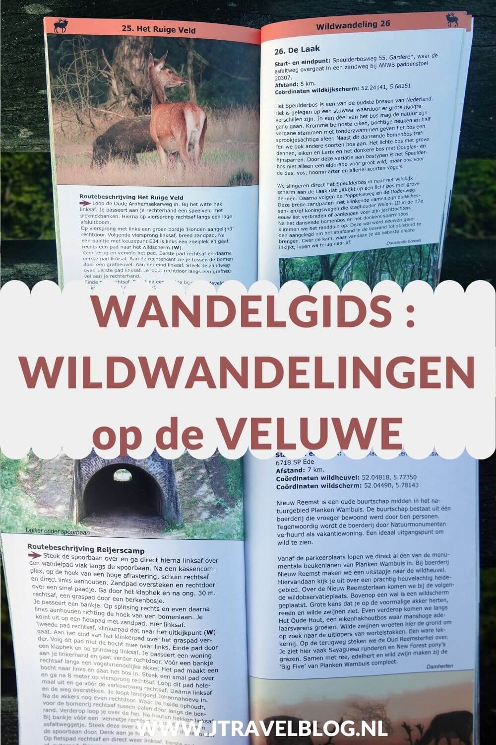 De wandelgids ‘Wildwandelingen op de Veluwe’ is een wandelgids met 30 wandelingen langs wildobservatieplaatsen op de Veluwe. De wandelingen hebben een lengte tussen de 2 en 10 kilometer. Wandel je mee? #wandelgids #wandelen #veluwe #anoda #jtravelblog #jtravel
