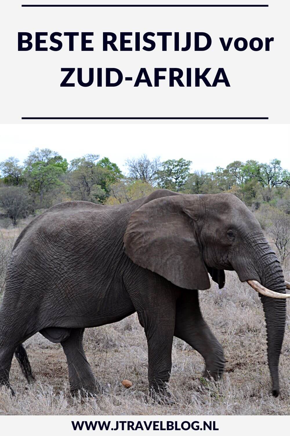 Je leest hier alles over de beste reistijd voor Zuid-Afrika (mei tot en met oktober), het klimaat, het weer per maand en het klimaat voor een aantal toeristische plaatsen. #zuidafrika #bestereistijdzuidafrika #bestereistijd #afrika #jtravel #jtravelblog