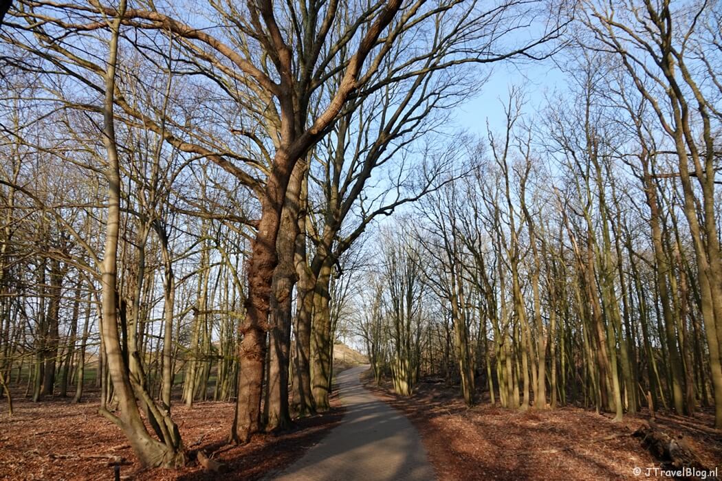 De Pannelanderweg tijdens de Roots wandeling in de Amsterdamse Waterleidingduinen vanaf ingang Panneland