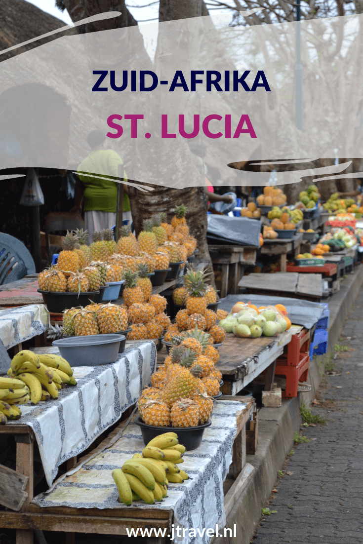 St. Lucia is voor velen de uitvalsbasis voor Hluhluwe-Imfolozi Game Reserve en het iSimangaliso Wetland Park. Wil je meer weten wat er te doen is in St. Lucia, lees dan dit artikel. Lees je mee? #stlucia #isimangalisowetlandpark #zuidafrika #jtravel #jtravelblog