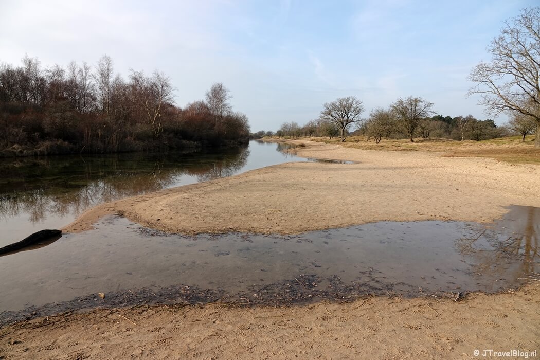 Een toevoersloot tijdens de Roots wandeling in de Amsterdamse Waterleidingduinen vanaf ingang Panneland