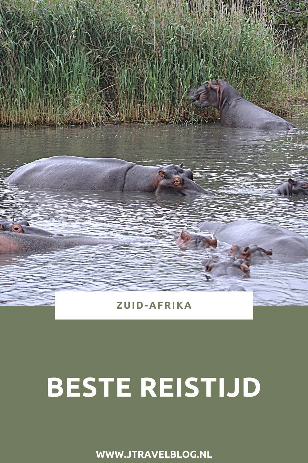 Je leest hier alles over de beste reistijd voor Zuid-Afrika (mei tot en met oktober), het klimaat, het weer per maand en het klimaat voor een aantal toeristische plaatsen. #zuidafrika #bestereistijdzuidafrika #bestereistijd #afrika #jtravel #jtravelblog