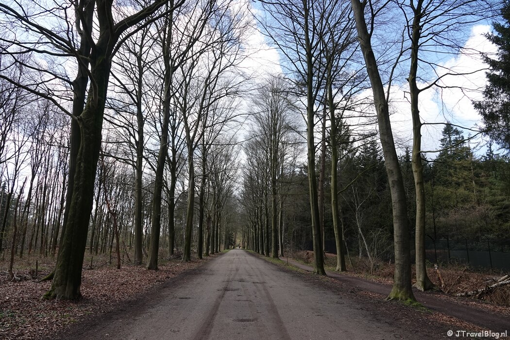 300 Roedenlaan tijdens mijn wandeling van de 4e etappe van de oudste wandelroute van Nederland van Hilversum naar Den Dolder