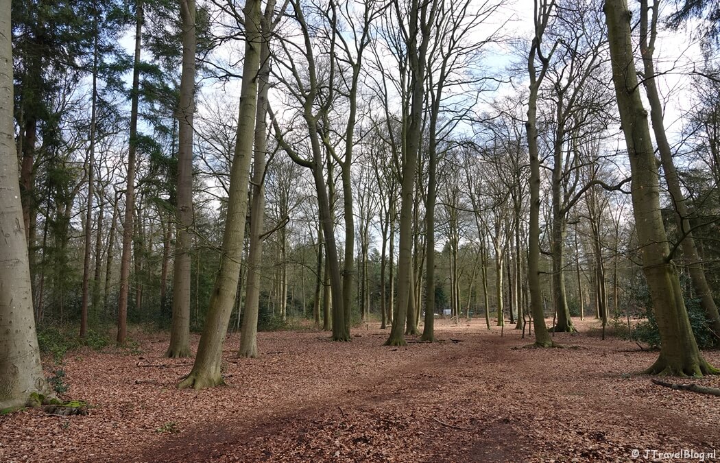 Bos rond Kasteel Drakenstein in Lage Vuursche tijdens mijn wandeling van de 4e etappe van de oudste wandelroute van Nederland van Hilversum naar Den Dolder