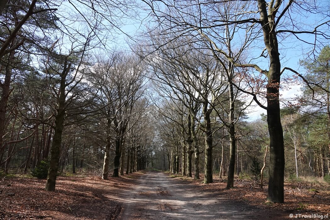 Een bospad tijdens mijn wandeling van de 4e etappe van de oudste wandelroute van Nederland van Hilversum naar Den Dolder