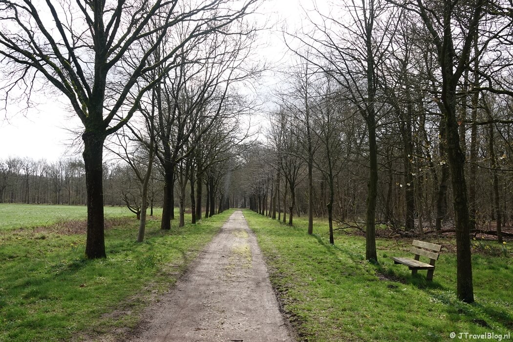 Cronebos tijdens mijn wandeling van de 4e etappe van de oudste wandelroute van Nederland van Hilversum naar Den Dolder