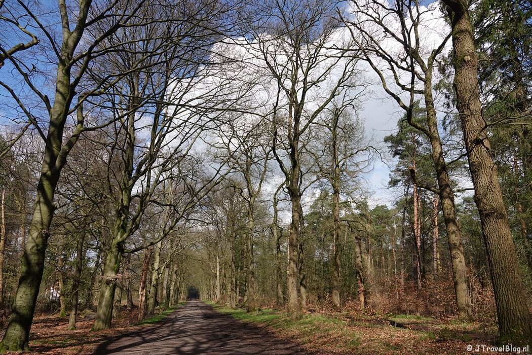 Stulpselaan tijdens mijn wandeling van de 4e etappe van de oudste wandelroute van Nederland van Hilversum naar Den Dolder