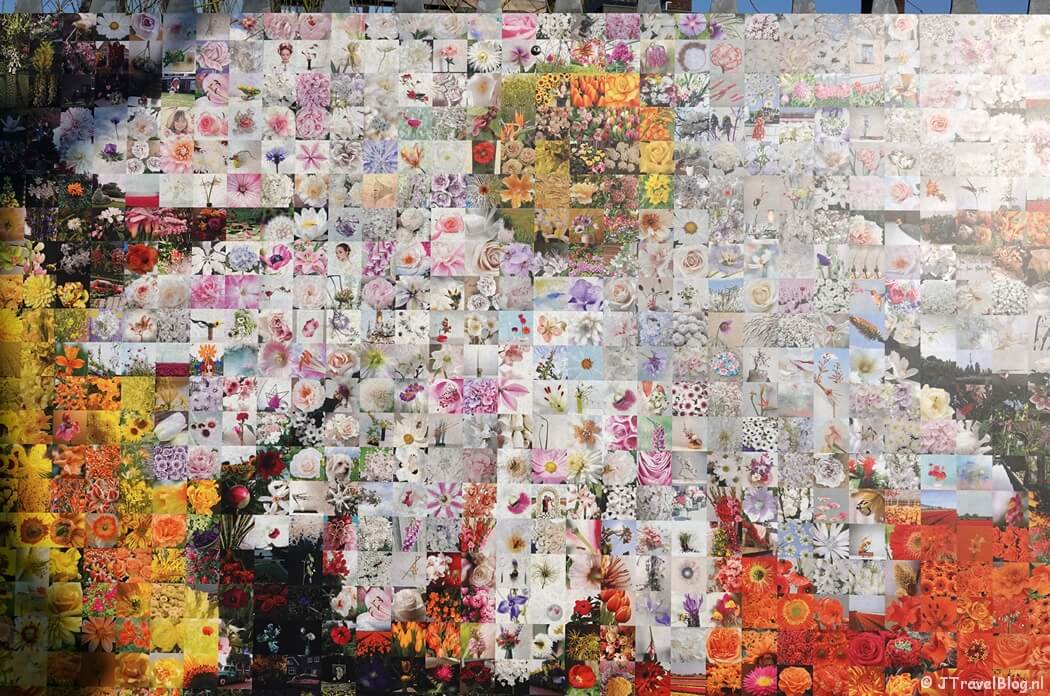 Wall of Flowers bij het Flower Art Museum in Aalsmeer