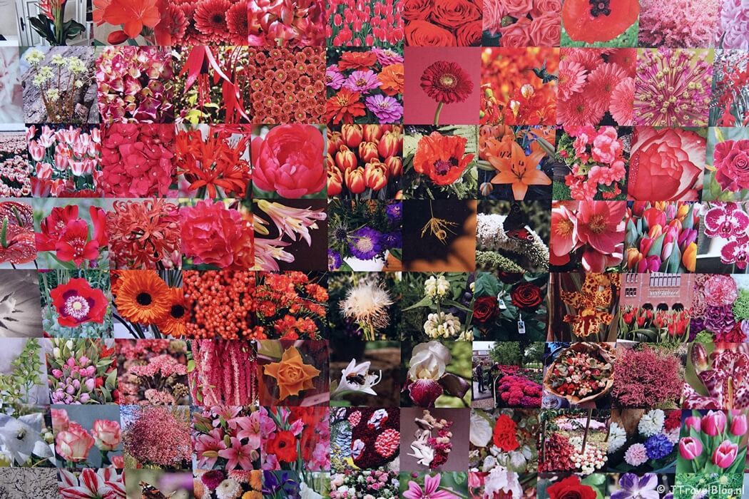 Wall of Flowers bij het Flower Art Museum in Aalsmeer