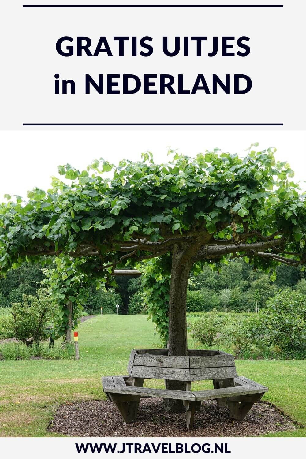 Ik heb een aantal tips voor je verzameld voor gratis uitjes in Nederland. Uitjes naar natuurparken, kabouterroutes, steden en speeltuinen. Je leest ze in deze blog. Ze staan per provincie vermeld. #gratisuitjes #nederland #jtravelblog #jtravel