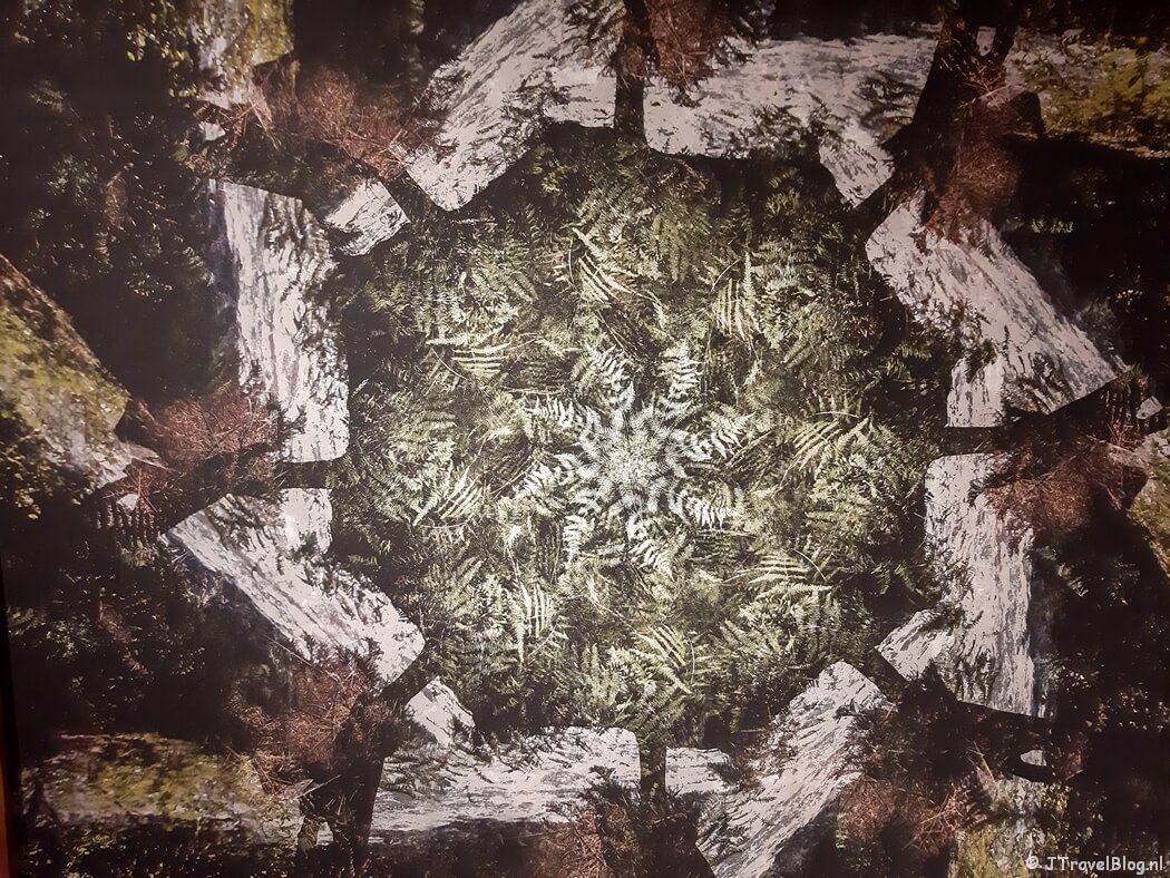 Hemelbloemen van Jacob Kaptein in het Flower Art Museum in Aalsmeer