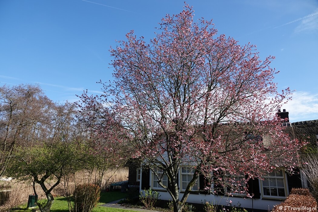Huis bij de Ankeveense Plassen tijdens mijn wandeling van de 3e etappe van de oudste wandelroute van Nederland van Nederhorst den Berg naar Hilversum