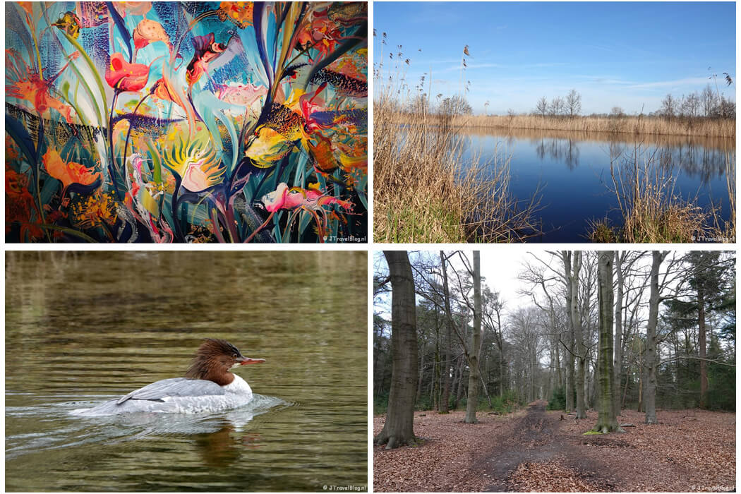 Maart 2024: Flower Art Museum in Aalsmeer, twee etappes van de oudste wandelroute van Nederland en een wandeling in de Amsterdamse Waterleidingduinen