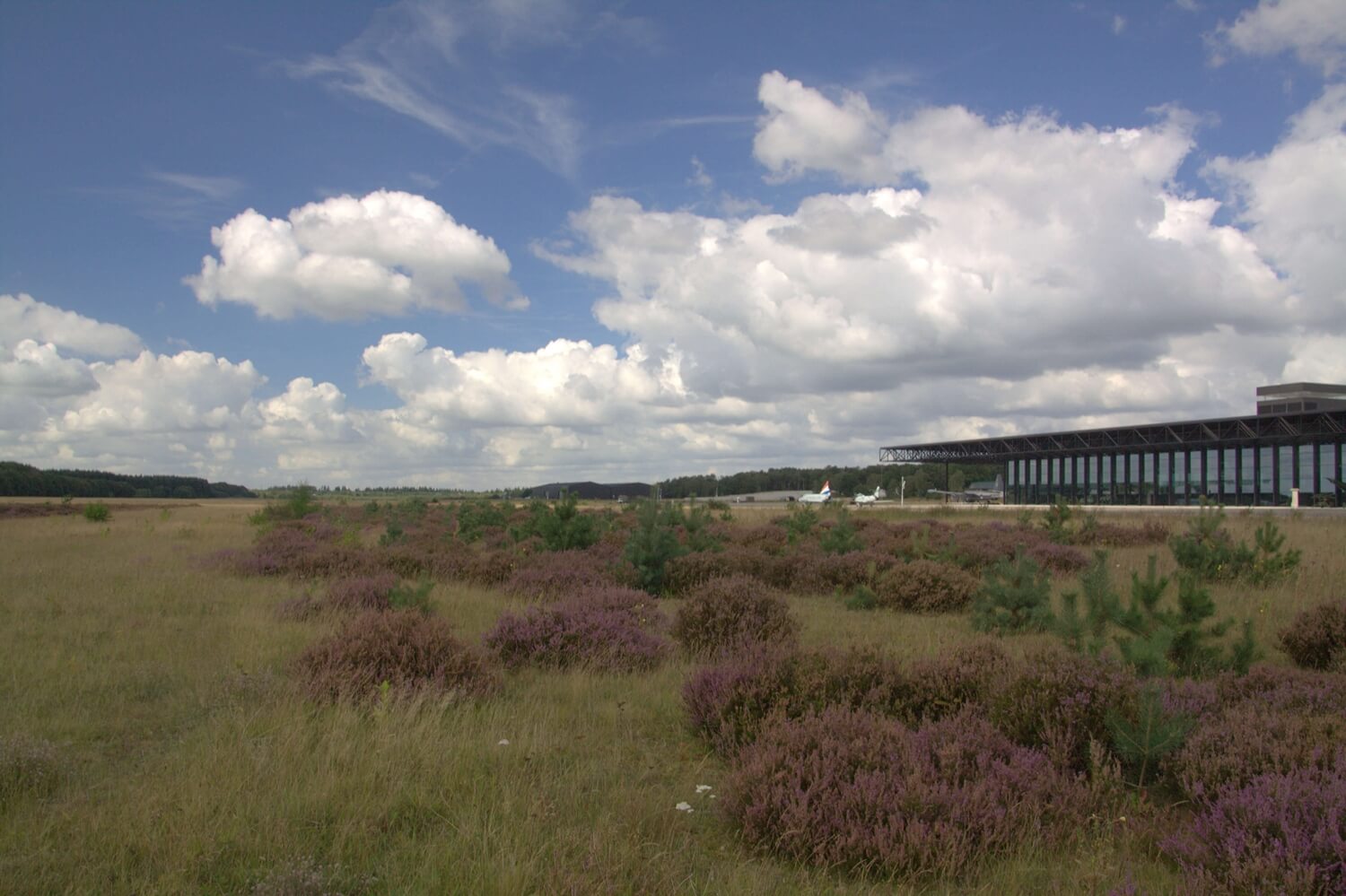 Park Vliegbasis Soesterberg / Foto: https://commons.wikimedia.org/wiki/File:Met_hier_en_daar_een_flinke_pluk_heide_ziet_de_vliegbasis_Soesterberg_er_kleurijk_uit.jpg