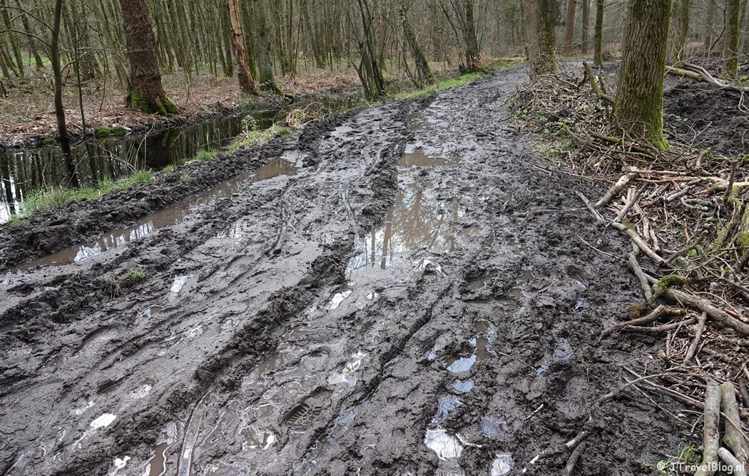 Een modderpad tijdens mijn wandeling van de 4e etappe van de oudste wandelroute van Nederland van Hilversum naar Den Dolder