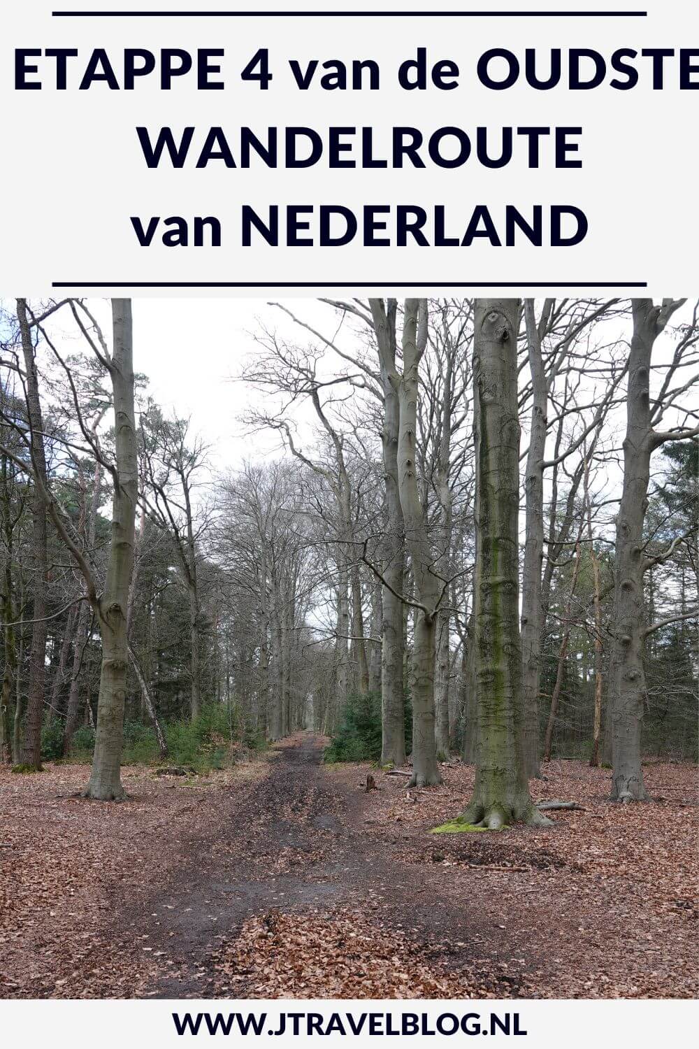 Dit is mijn verslag van etappe 4 van de oudste wandelroute van Nederland van Hilversum via Lage Vuursche naar Den Dolder over een afstand van 17,7 kilometer. De oudste wandelroute van Nederland heeft een lengte van 150 kilometer en loopt vanaf Station Amsterdam-Muiderpoort naar Arnhem. #oudstewandelroutevannederland #wandelen #jtravelblog #jtravel