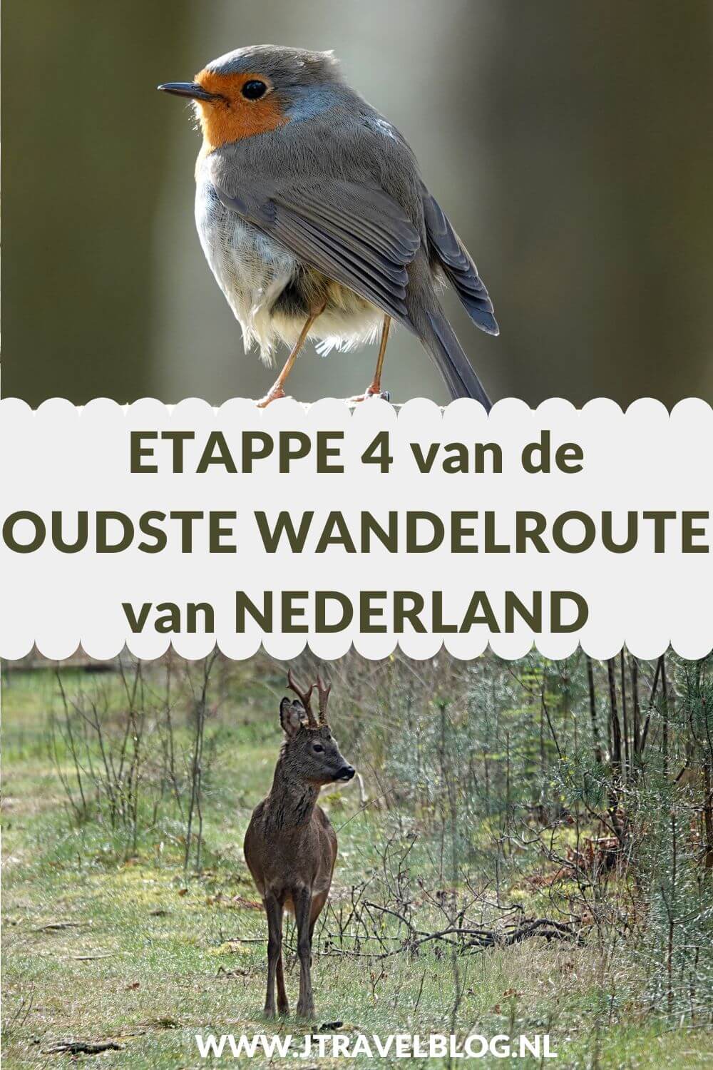Dit is mijn verslag van etappe 4 van de oudste wandelroute van Nederland van Hilversum via Lage Vuursche naar Den Dolder over een afstand van 17,7 kilometer. De oudste wandelroute van Nederland heeft een lengte van 150 kilometer en loopt vanaf Station Amsterdam-Muiderpoort naar Arnhem. #oudstewandelroutevannederland #wandelen #jtravelblog #jtravel