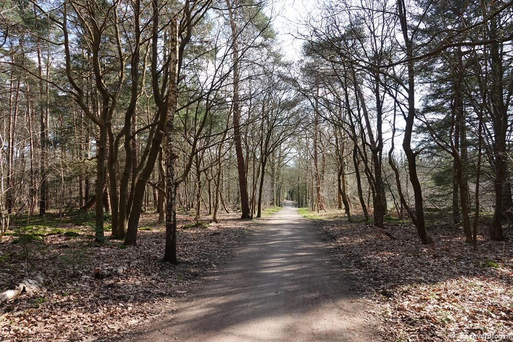 Spanderswoud tijdens mijn wandeling van de 3e etappe van de oudste wandelroute van Nederland van Nederhorst den Berg naar Hilversum