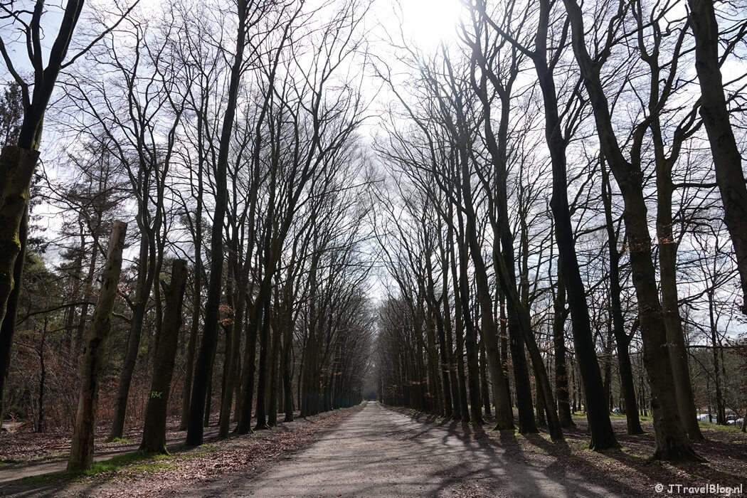Stulpselaan tijdens mijn wandeling van de 4e etappe van de oudste wandelroute van Nederland van Hilversum naar Den Dolder